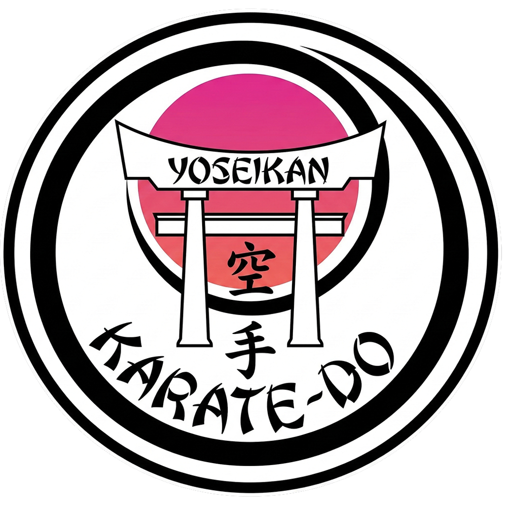 yoseikan-karate.pages.dev favicon